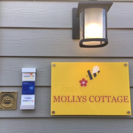 Mollys Cottage-The Suite On Vancouver Island Near Yyj Airport And The Wa And Bc Ferries North Saanich Bagian luar foto